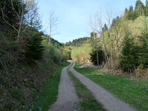 Wanderwege in Ohlsbach
