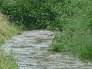 Hochwasser 1