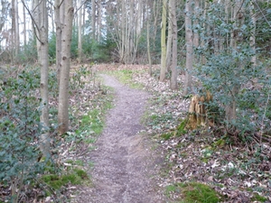 Wanderwege in Ohlsbach