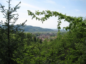 Blick auf Wald