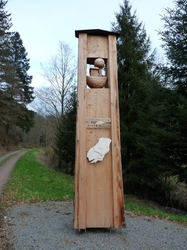 Willkommen im Riesenwald